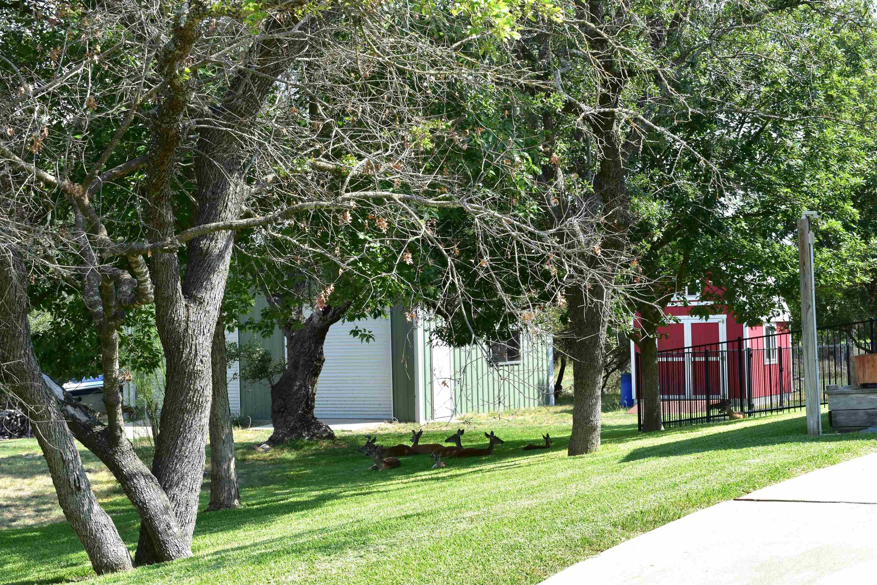 604 Antelope Ln, Lampasas, TX 76550