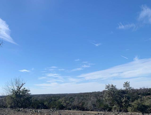 2328 Dinosaur Ranch RD, Out Of Area, TX 78631