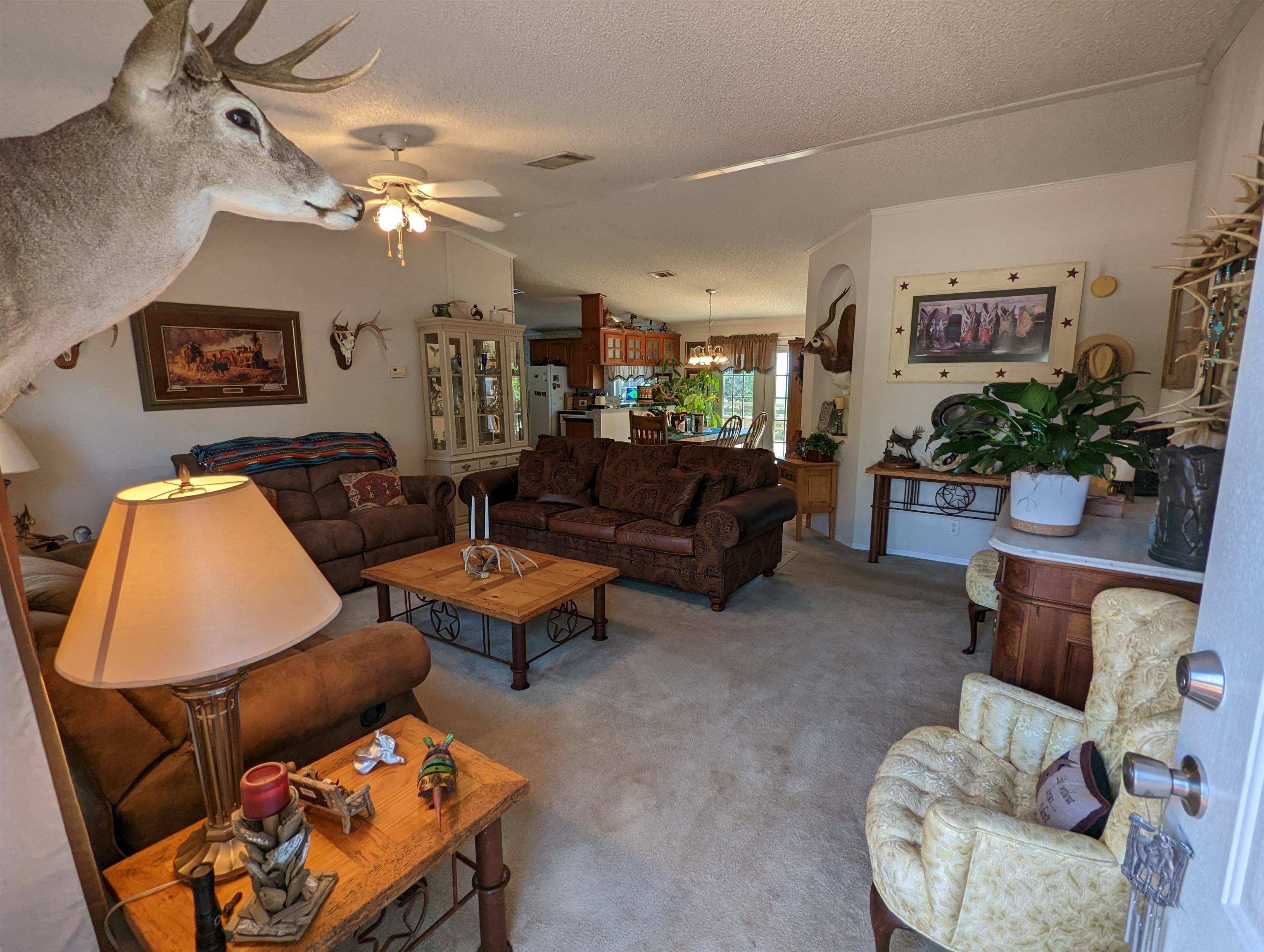 11790 E FM 1431 HWY, Marble Falls, TX 78654