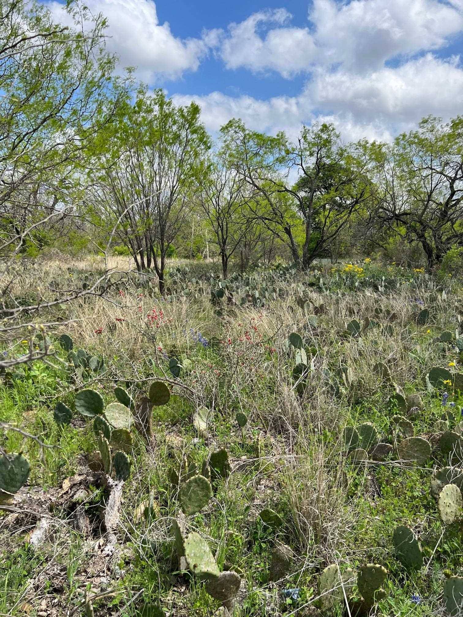 TBD FM 1980, Marble Falls, TX 78654