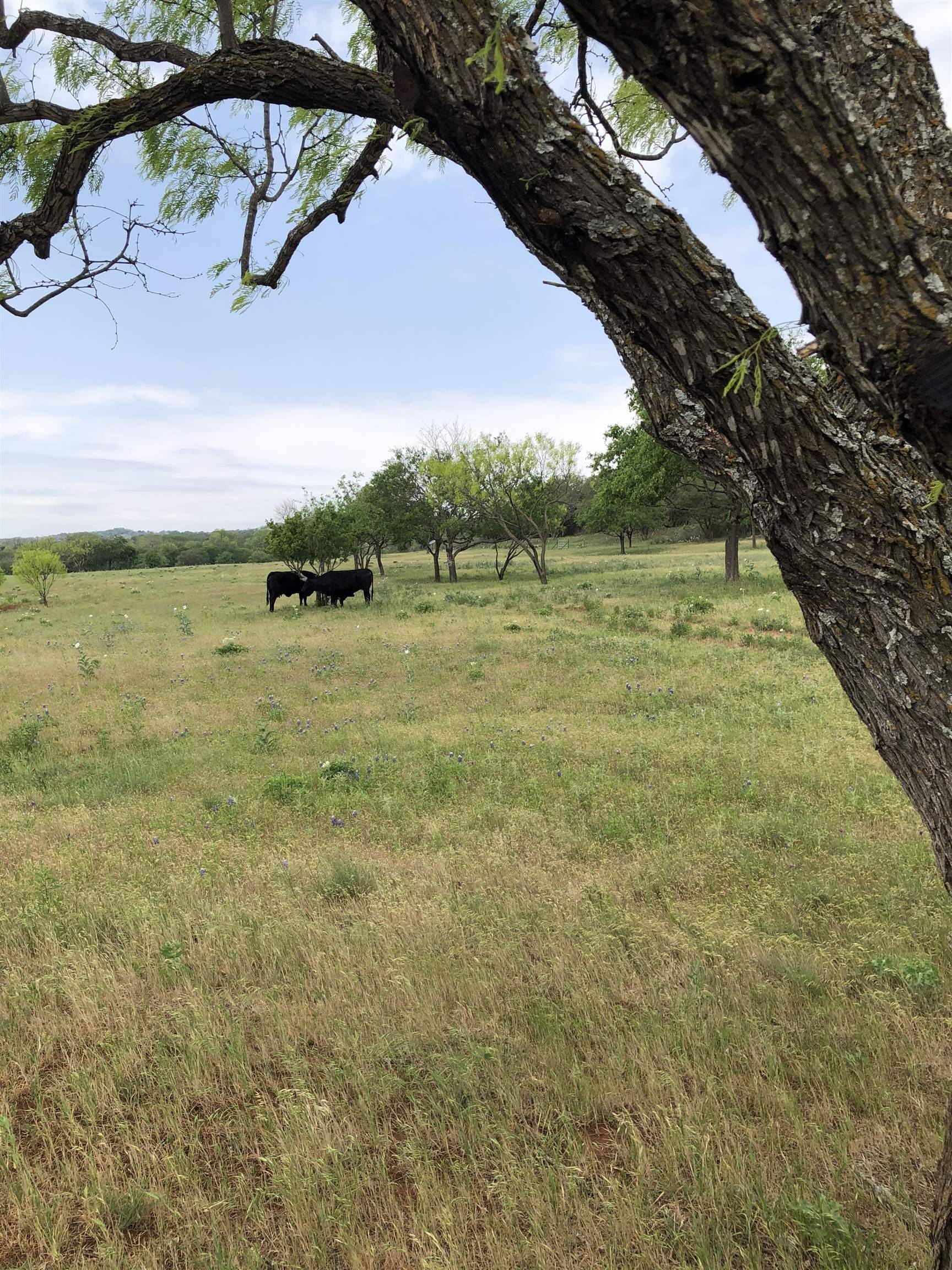 Lot 4 Stone Mountain DR, Marble Falls, TX 78654