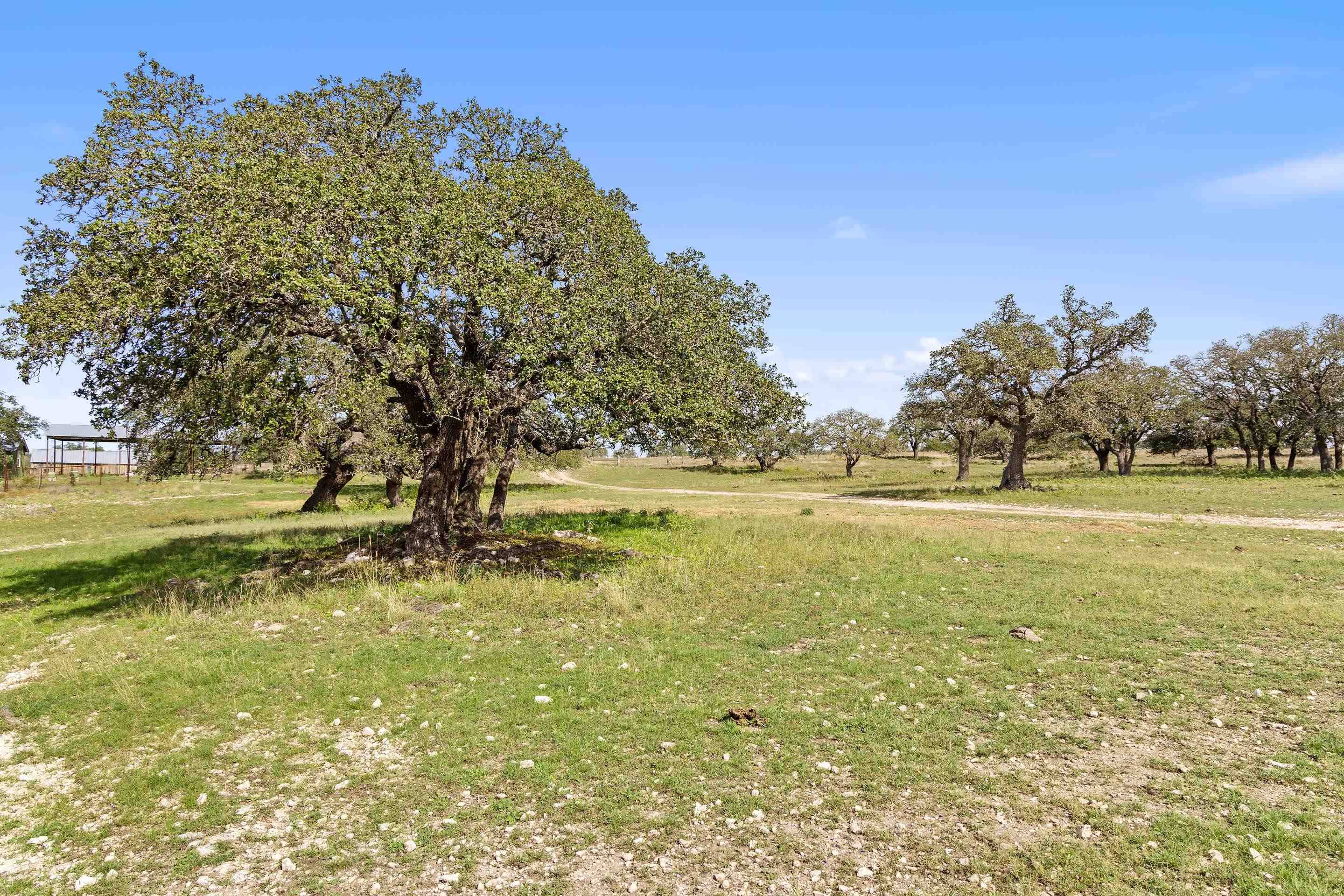 1033 N Ranch Road 783, Fredericksburg, TX 78631