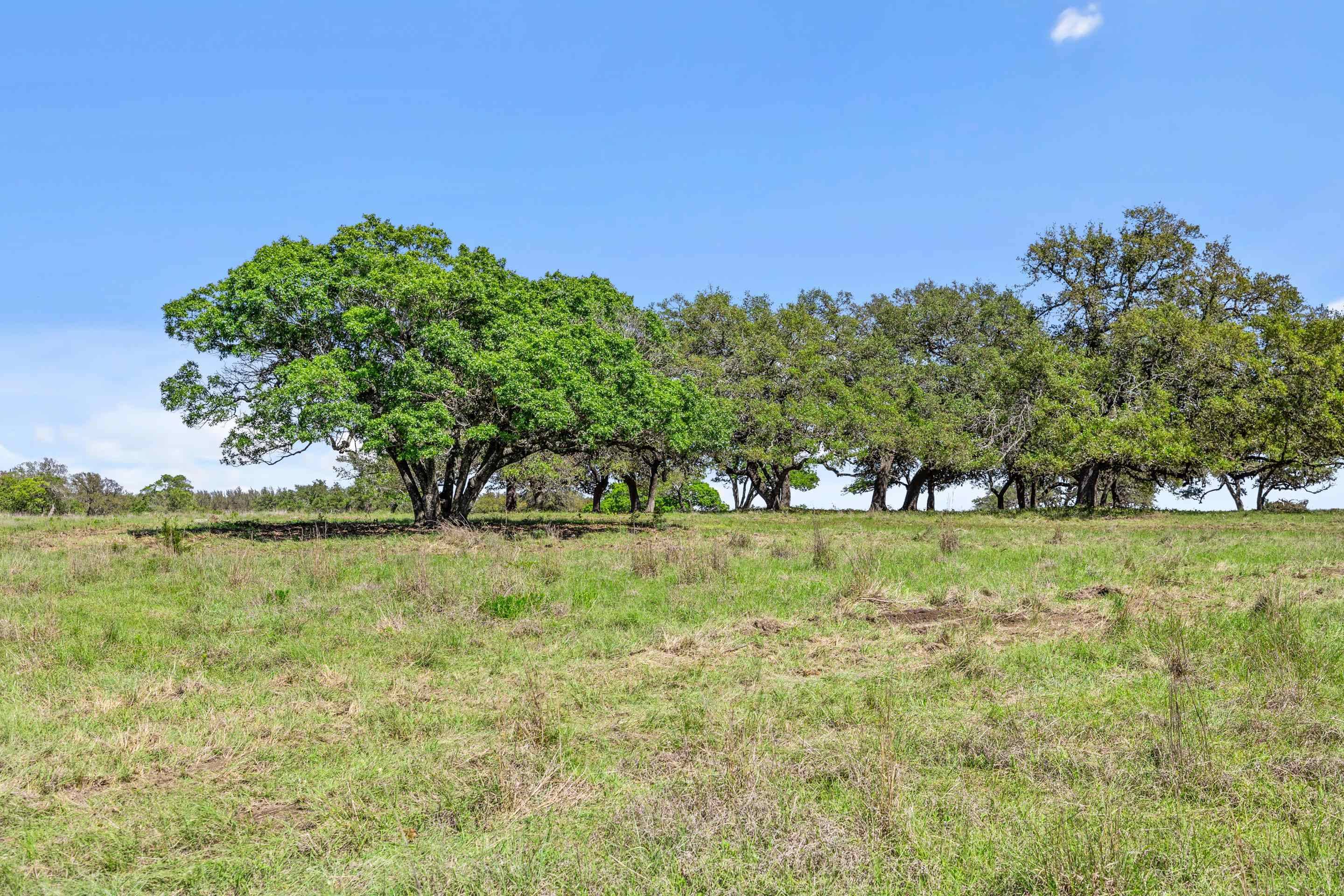 3680-2 Schumann RD, Fredericksburg, TX 78624