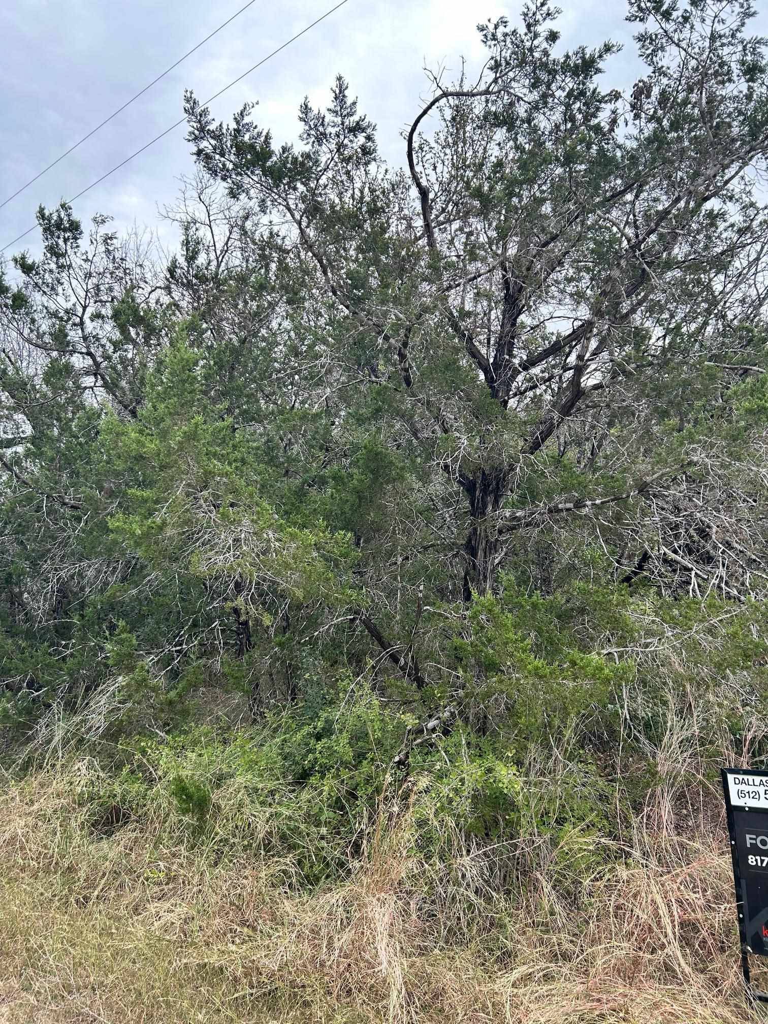 000 TAYLOR DR, TX, Marble Falls, TX 78654
