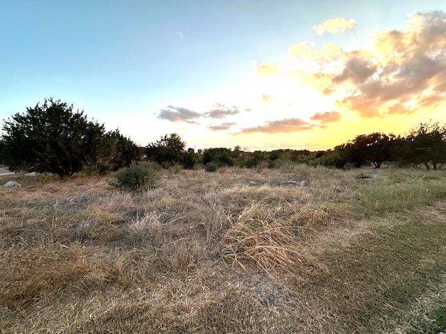 Lot #22 Mustang Ridge Estates - Trophy Oak TRL, Marble Falls, TX 78654-3995
