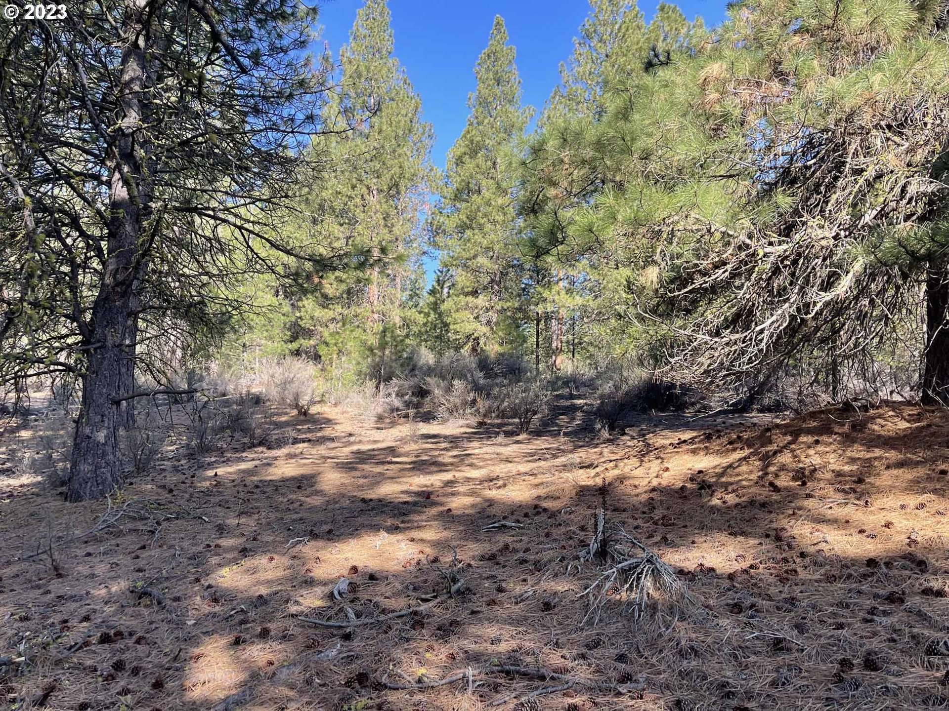 01000 Brook Trout LN, Chiloquin, OR 97624
