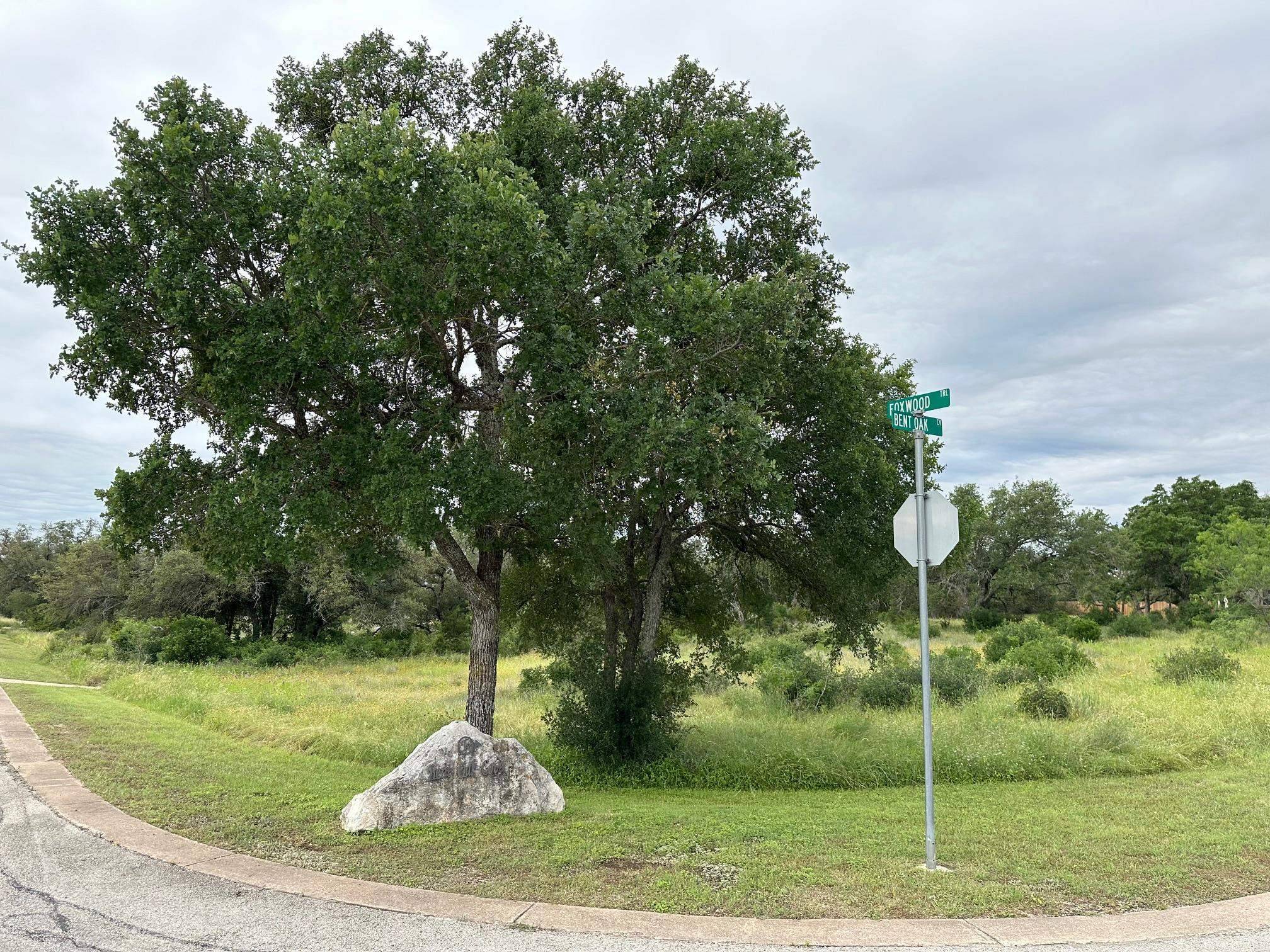 200 Foxwood TRL, Marble Falls, TX 78654