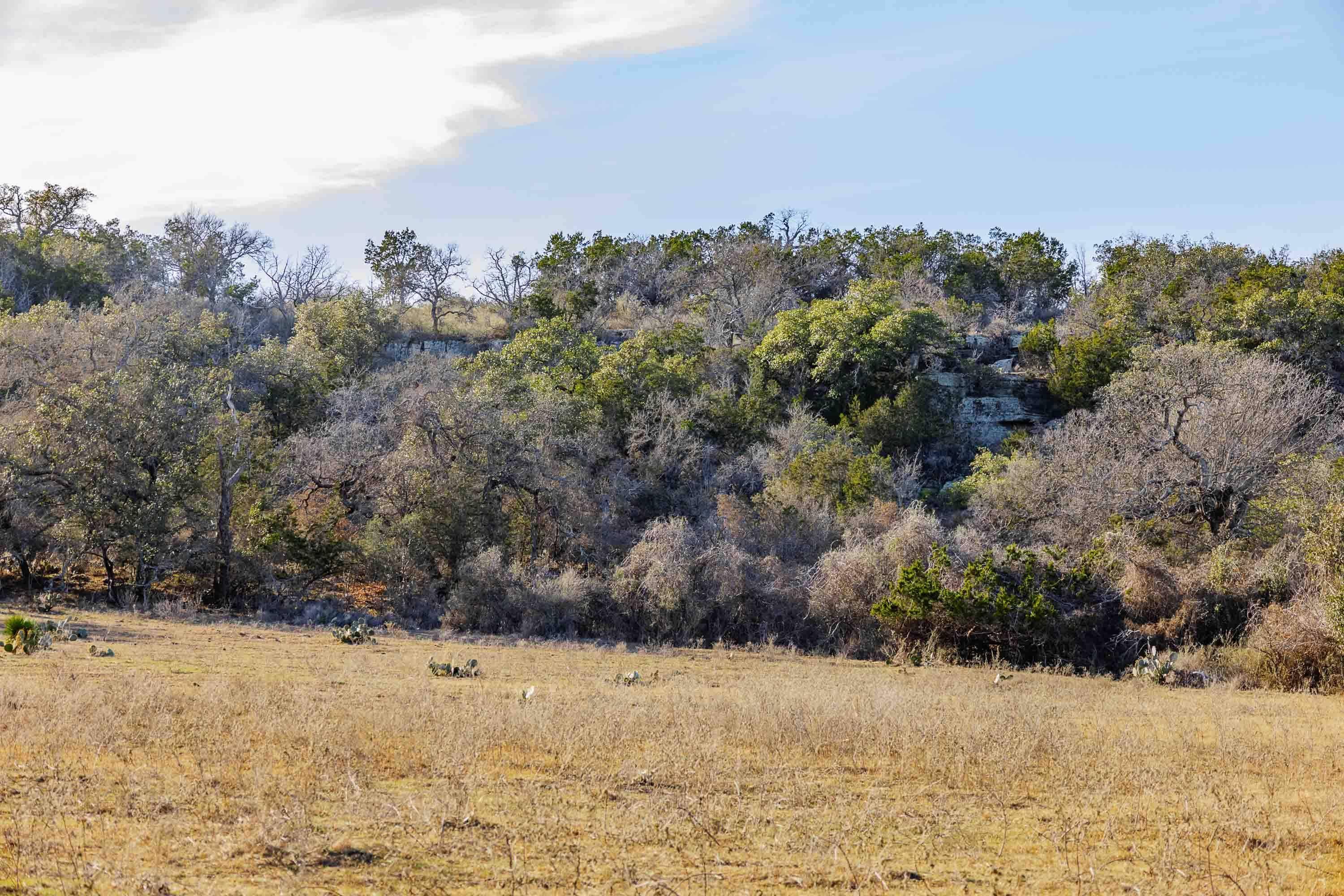 000 County Road 120, Marble Falls, TX 78654