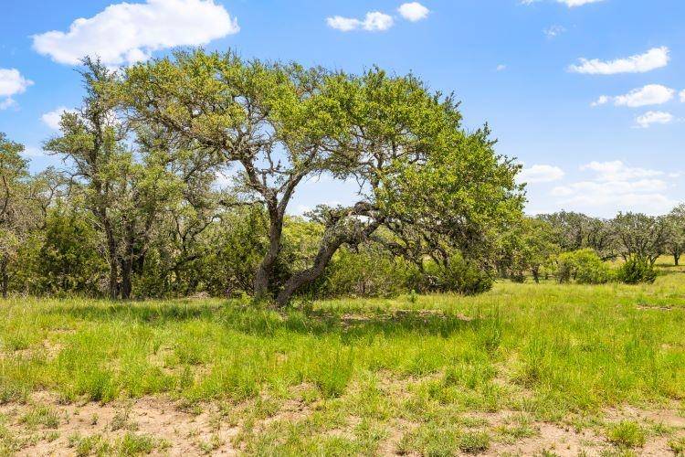 350 Brecken Ranch RD, Fredericksburg, TX 78624