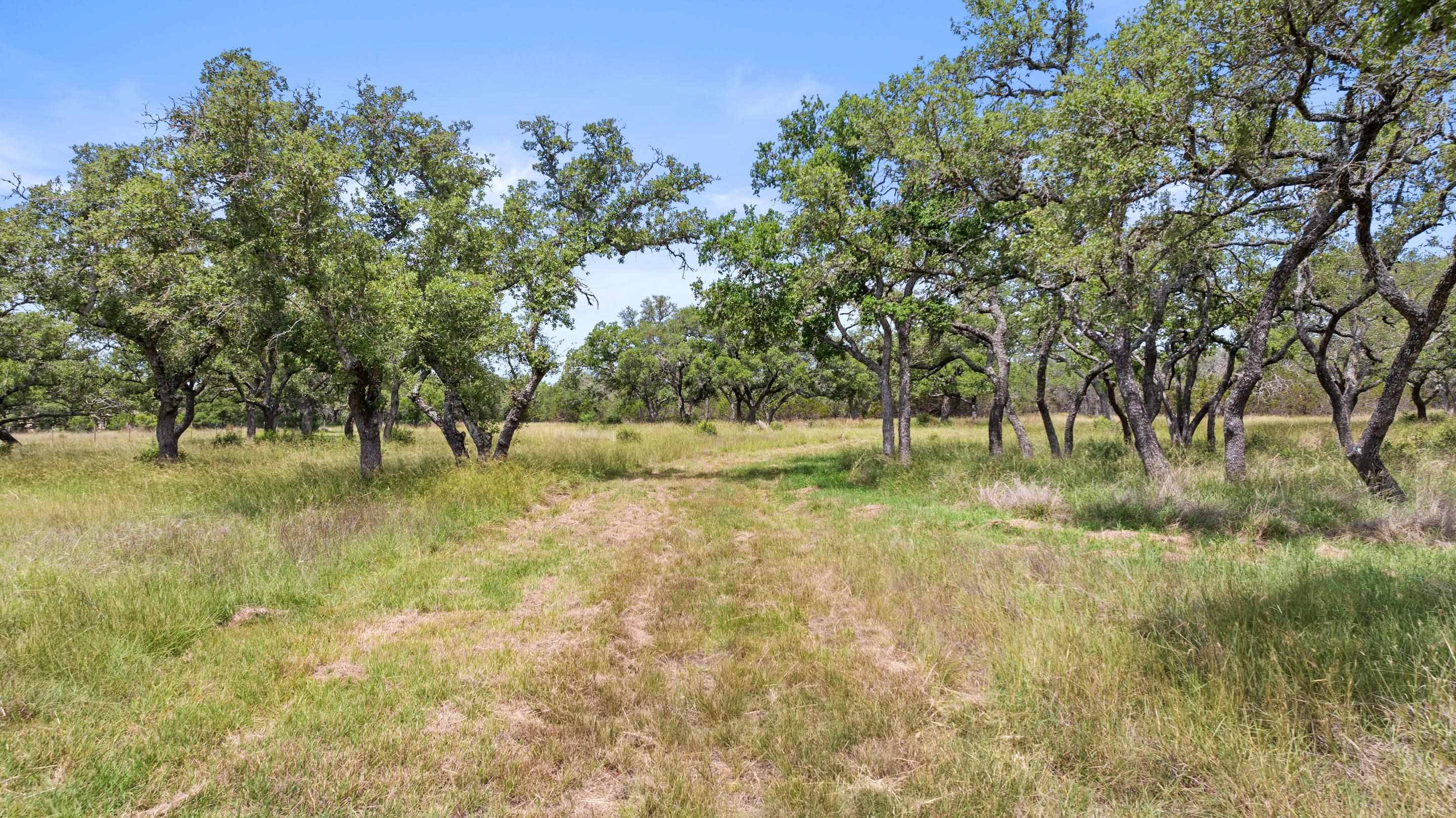 997 Sandy Oaks Ranch RD, Johnson City, TX 78636