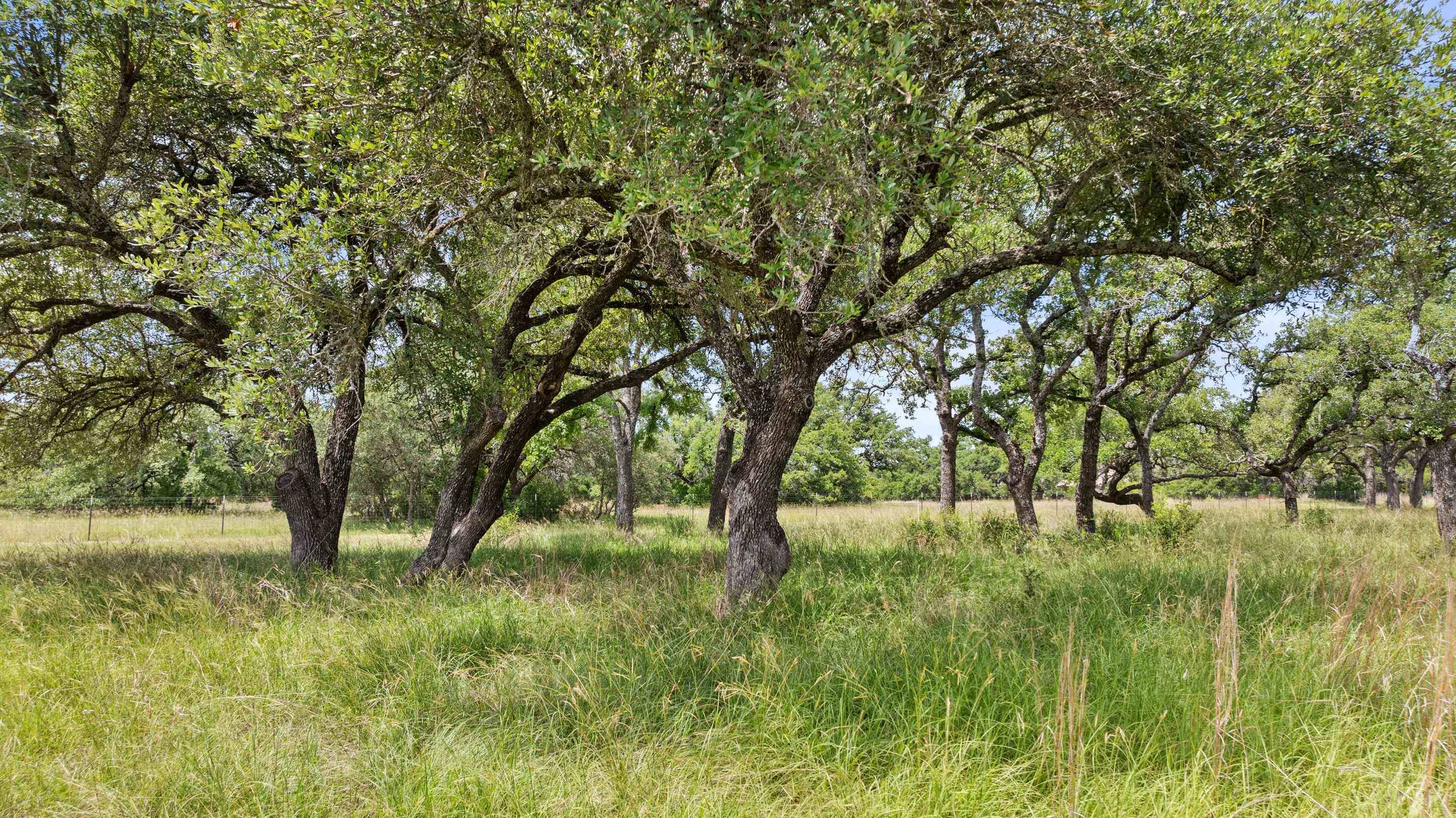 997 Sandy Oaks Ranch RD, Johnson City, TX 78636
