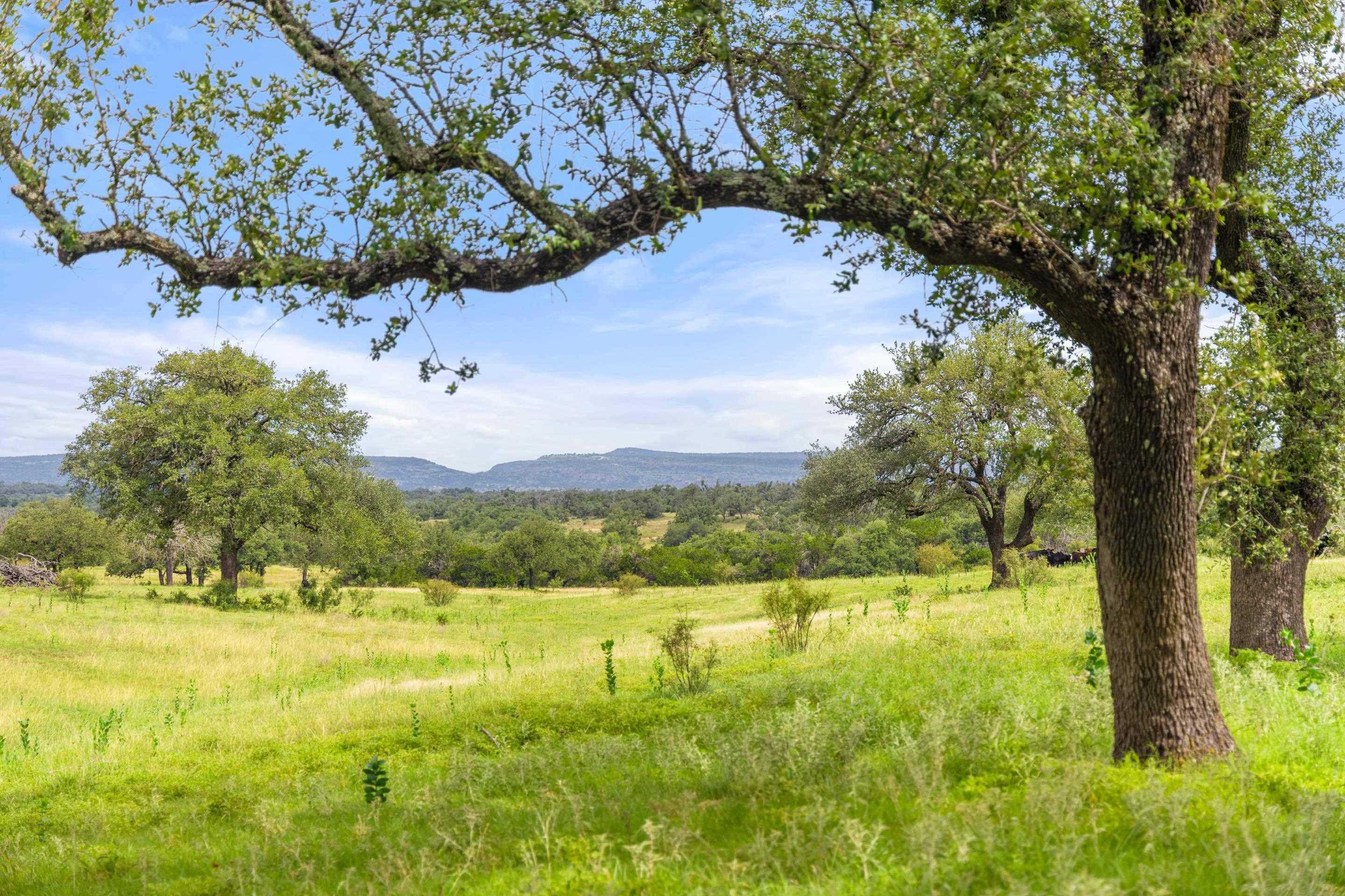 9069-39 RR 1323, Fredericksburg, TX 78624