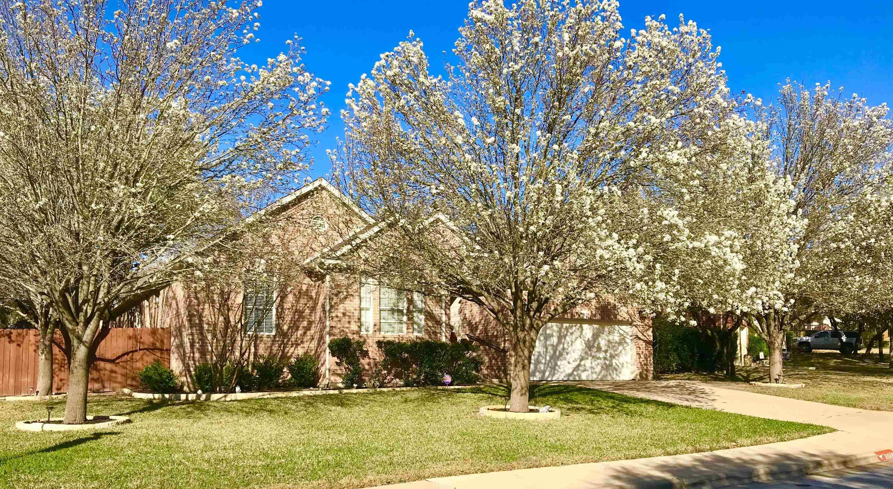 3018 Norco DR, Austin, TX 78738