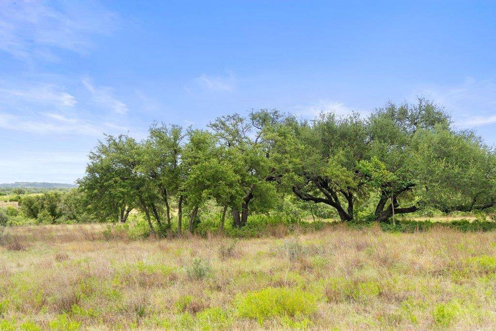 207 Verbena RD, Johnson City, TX 78636