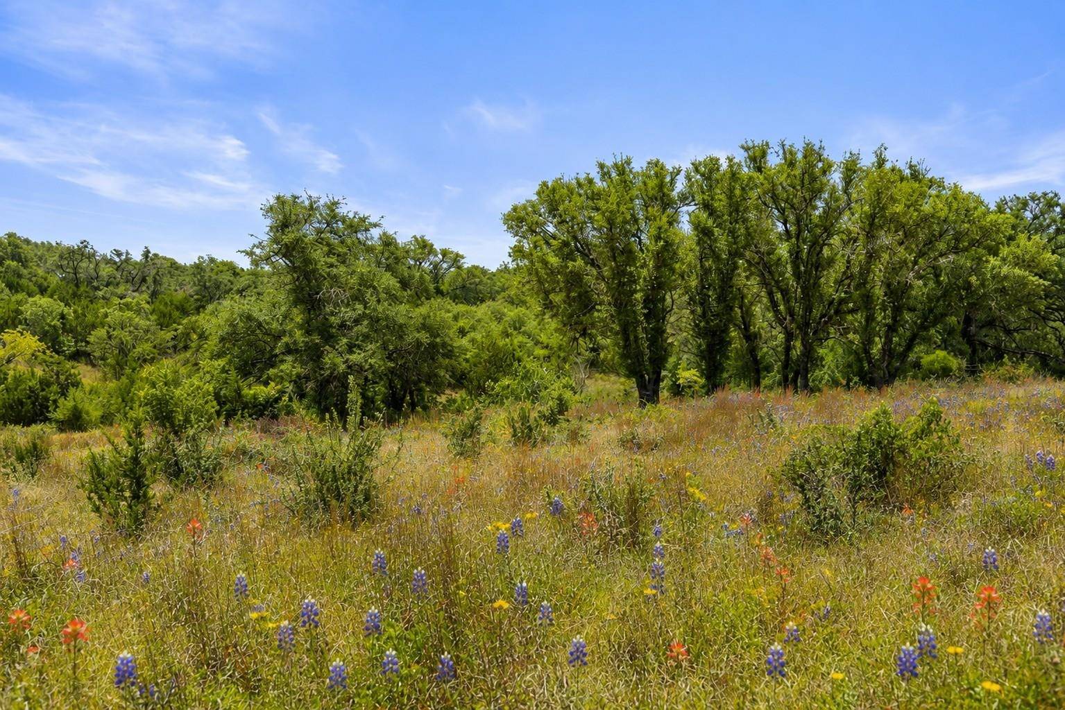 207 Verbena RD, Johnson City, TX 78636