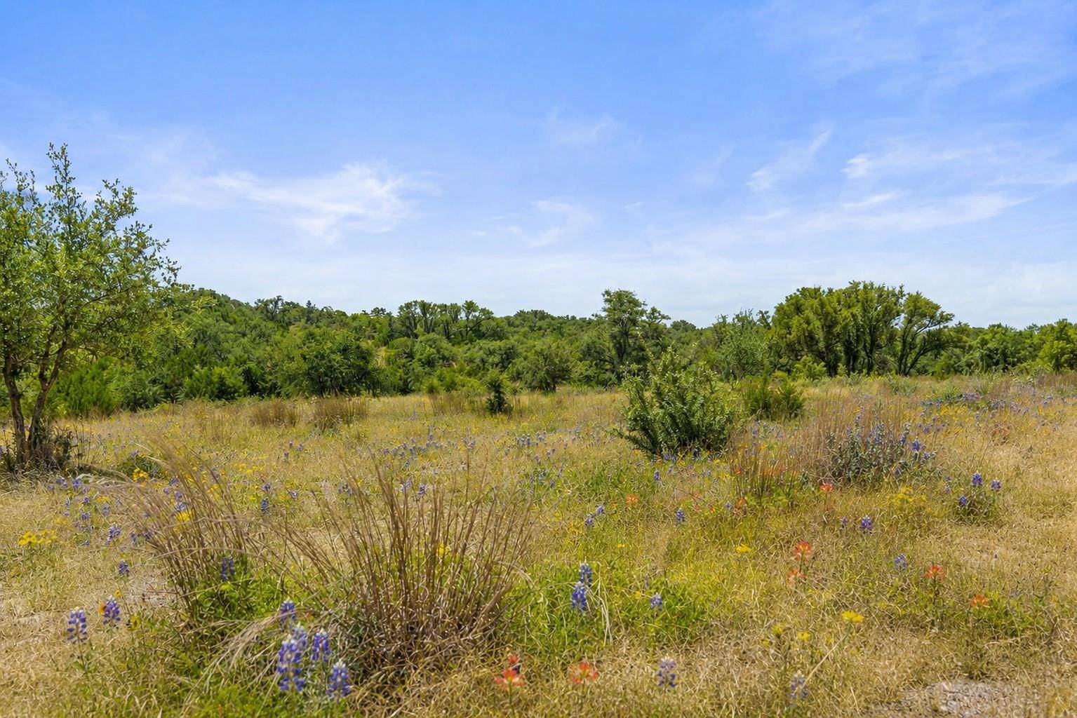 207 Verbena RD, Johnson City, TX 78636