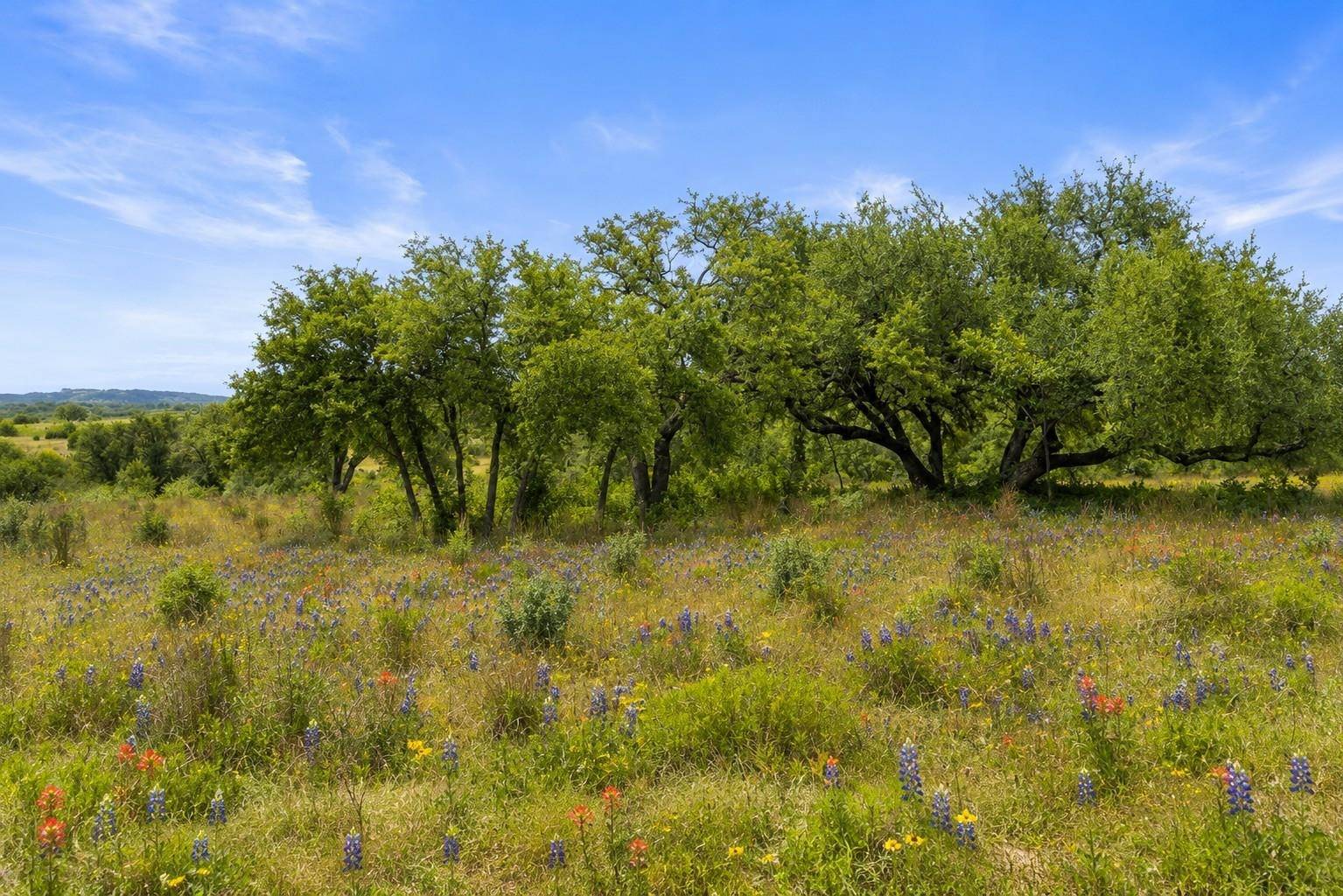 207 Verbena RD, Johnson City, TX 78636