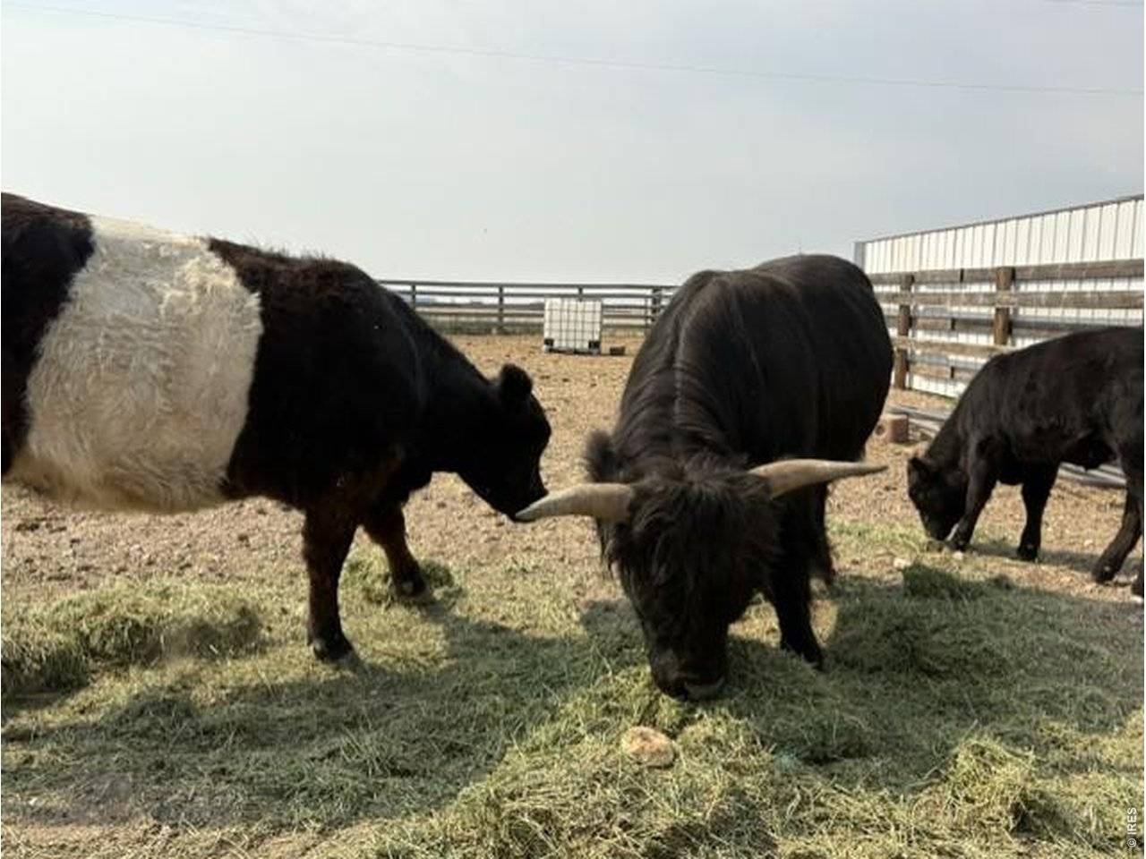 Lot G County Road 43 and 96, Pierce, CO 80650