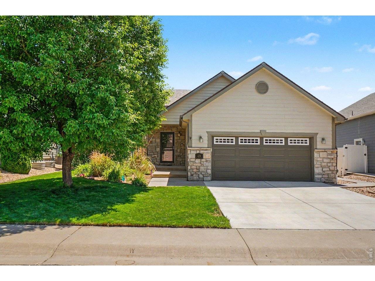 428 Wind River, Windsor, CO 80550