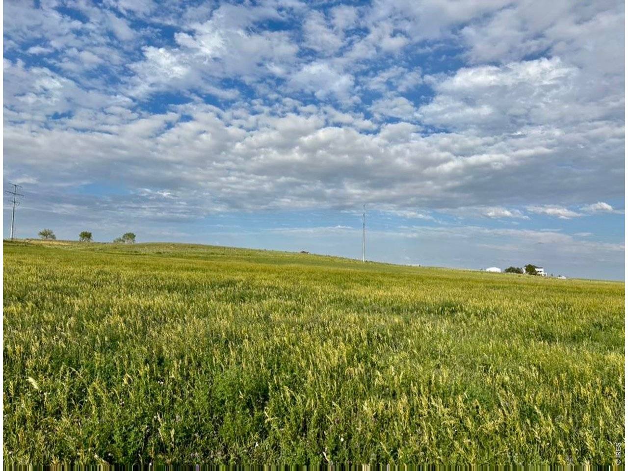 3259 W County Road 80, Wellington, CO 80549