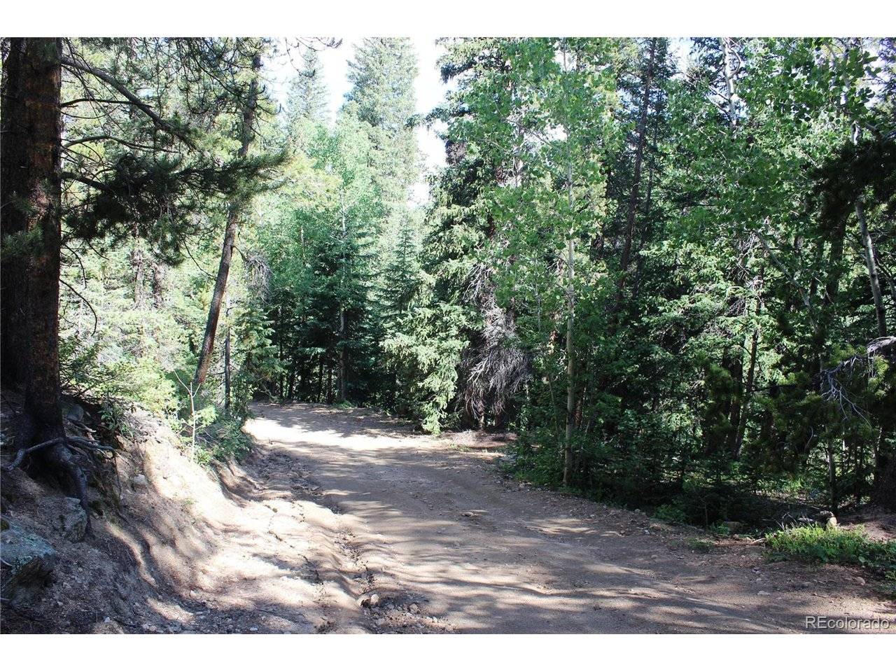 31 Sunflower, Black Hawk, CO 80422