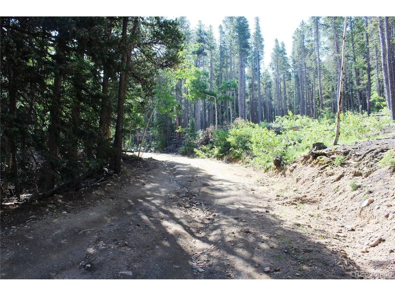 31 Sunflower, Black Hawk, CO 80422