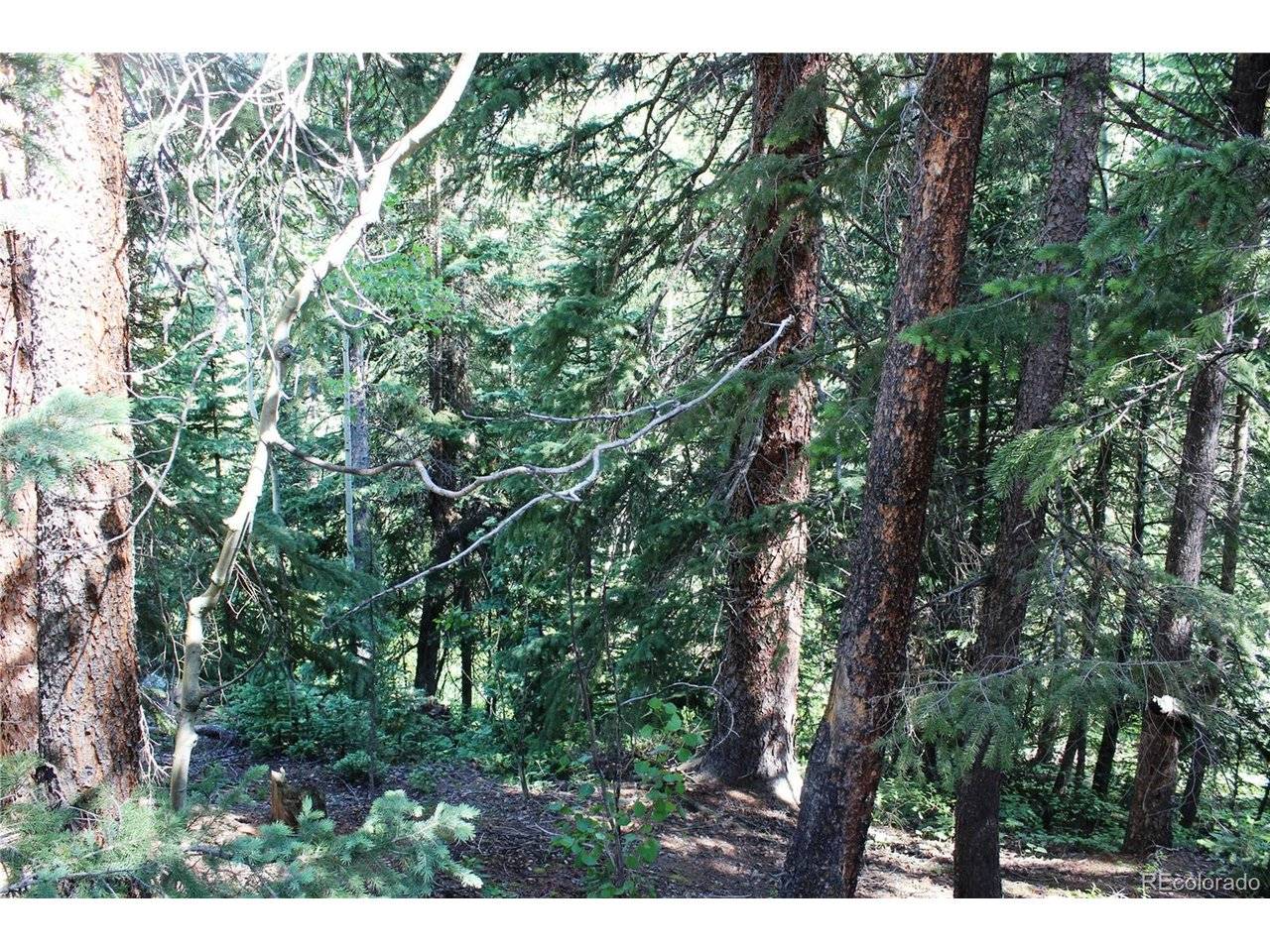 31 Sunflower, Black Hawk, CO 80422