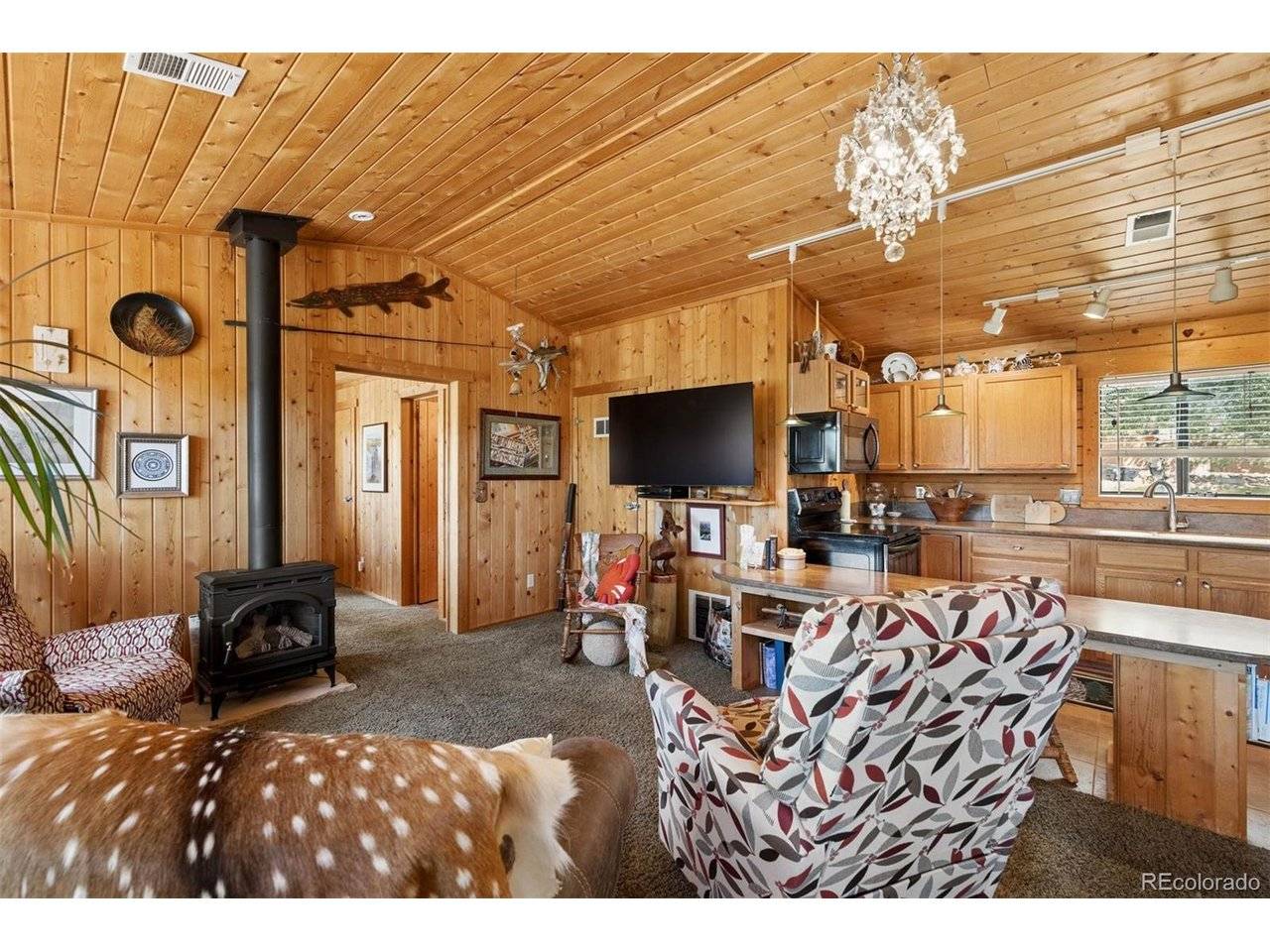 247 Bunny, Bailey, CO 80421