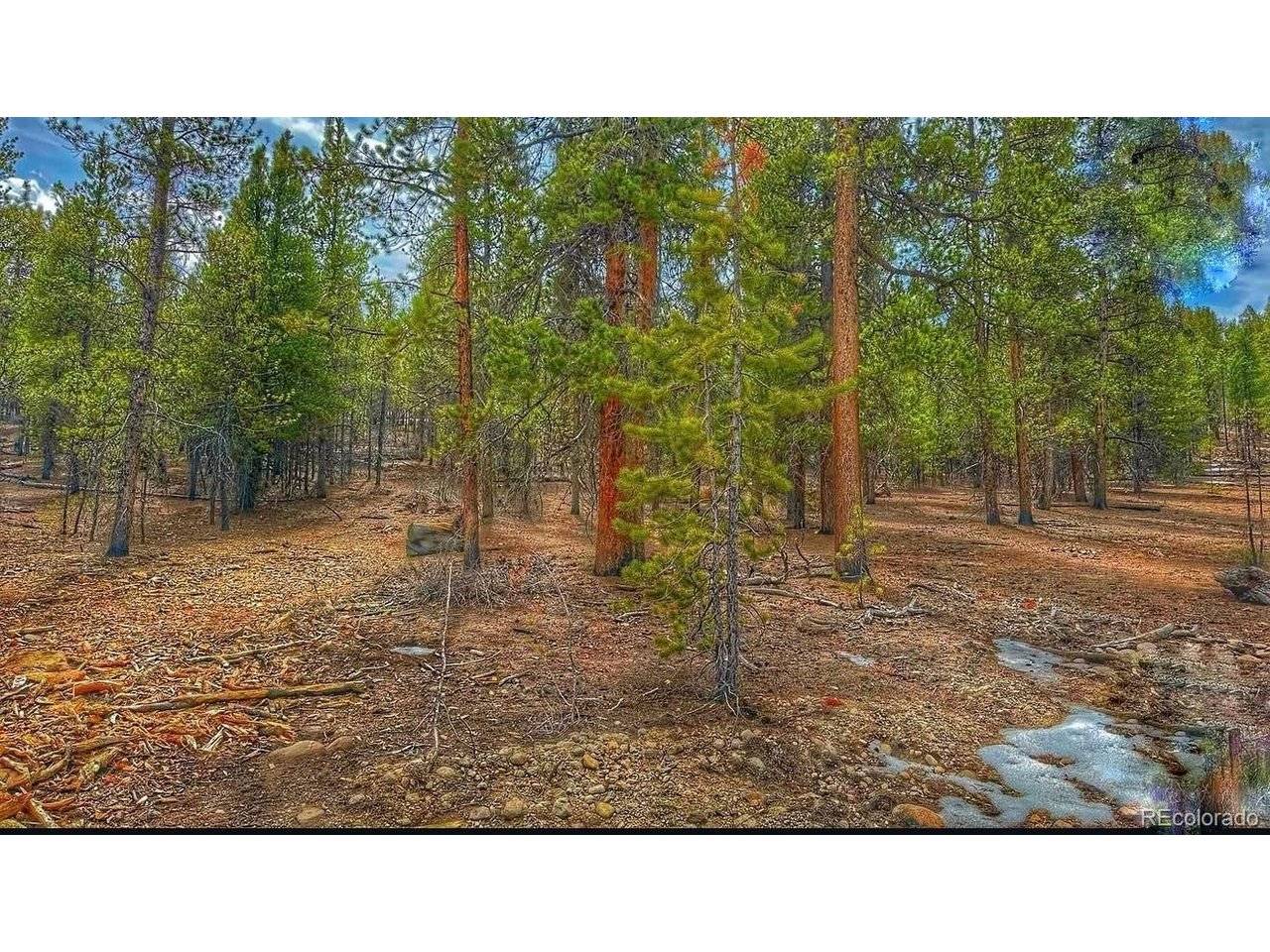 66 Mount Massive, Twin Lakes, CO 81251