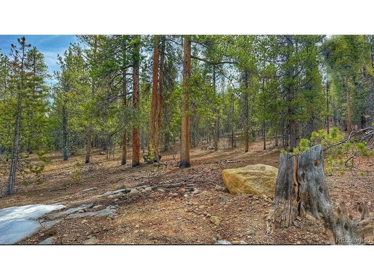66 Mount Massive, Twin Lakes, CO 81251