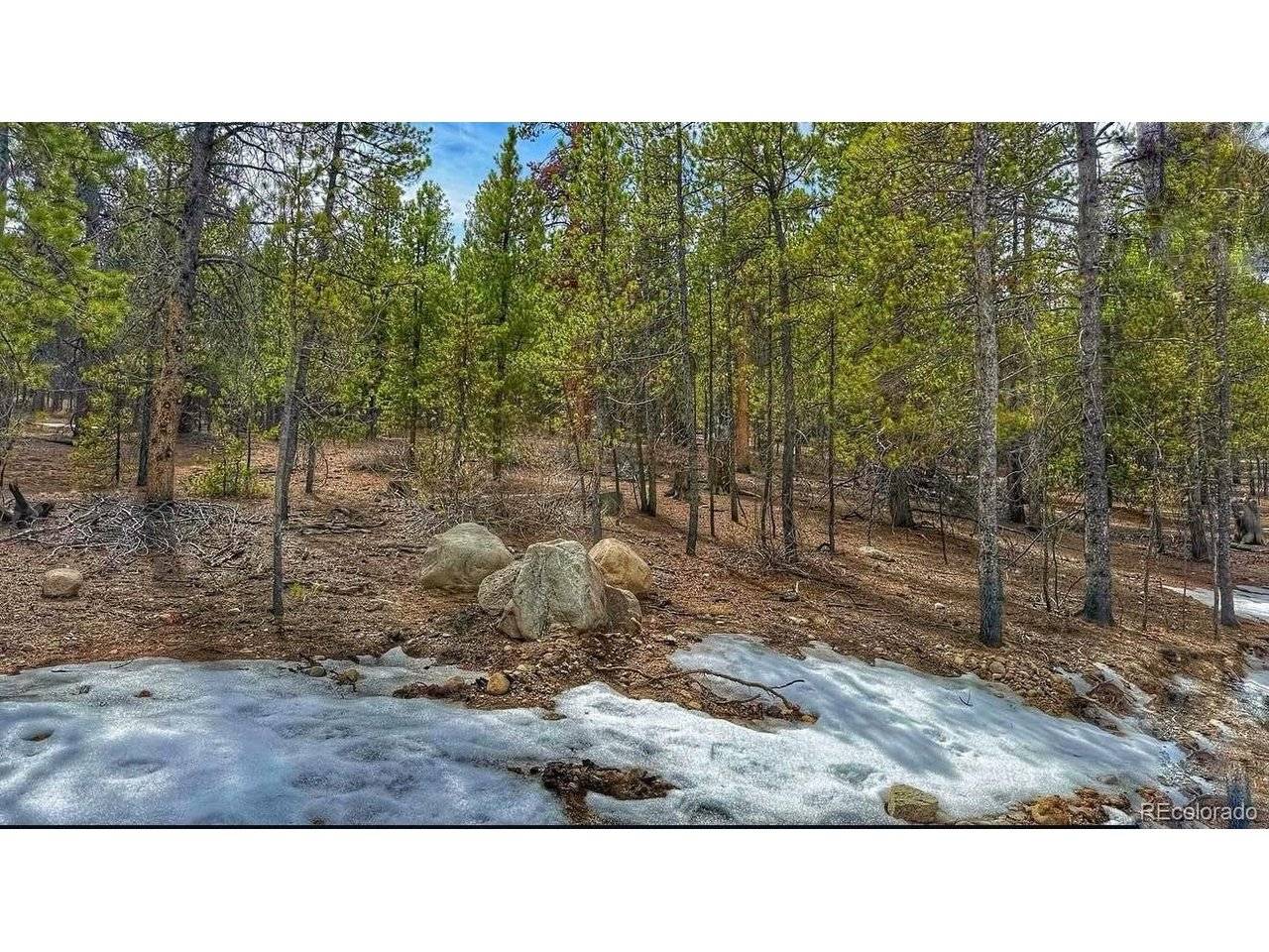 66 Mount Massive, Twin Lakes, CO 81251