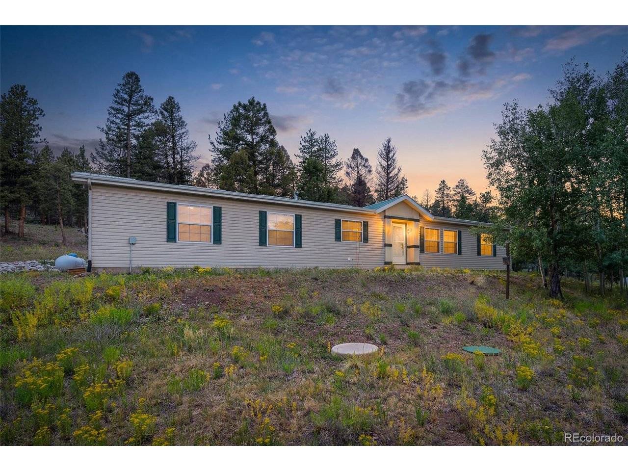 1855 Windmill, Hartsel, CO 80449