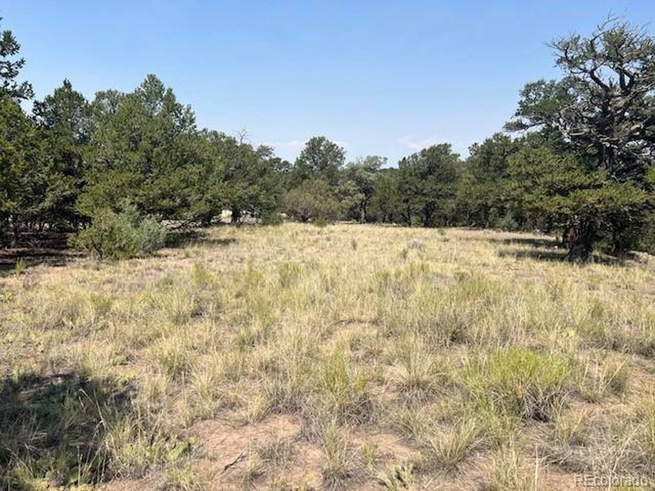 2158 Indian Well, Crestone, CO 81131