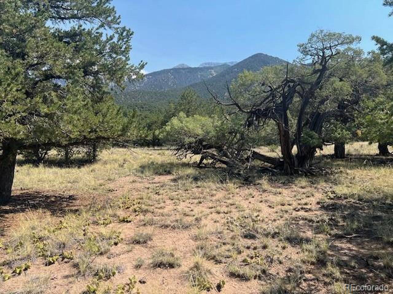 2158 Indian Well, Crestone, CO 81131