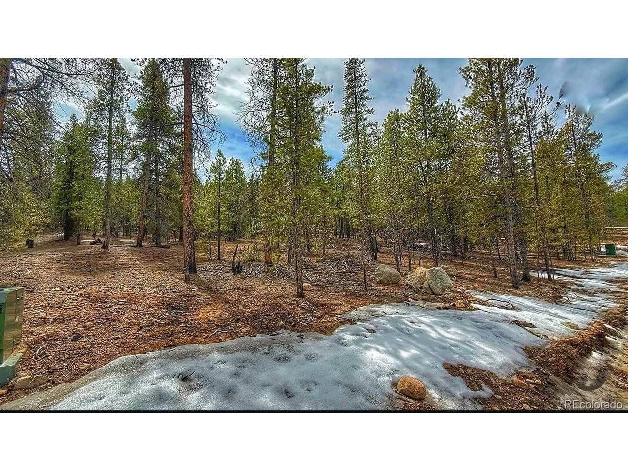 48 Mount Massive, Twin Lakes, CO 81251