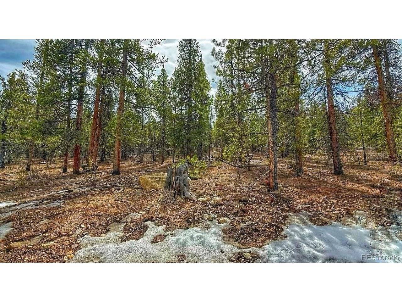 48 Mount Massive, Twin Lakes, CO 81251