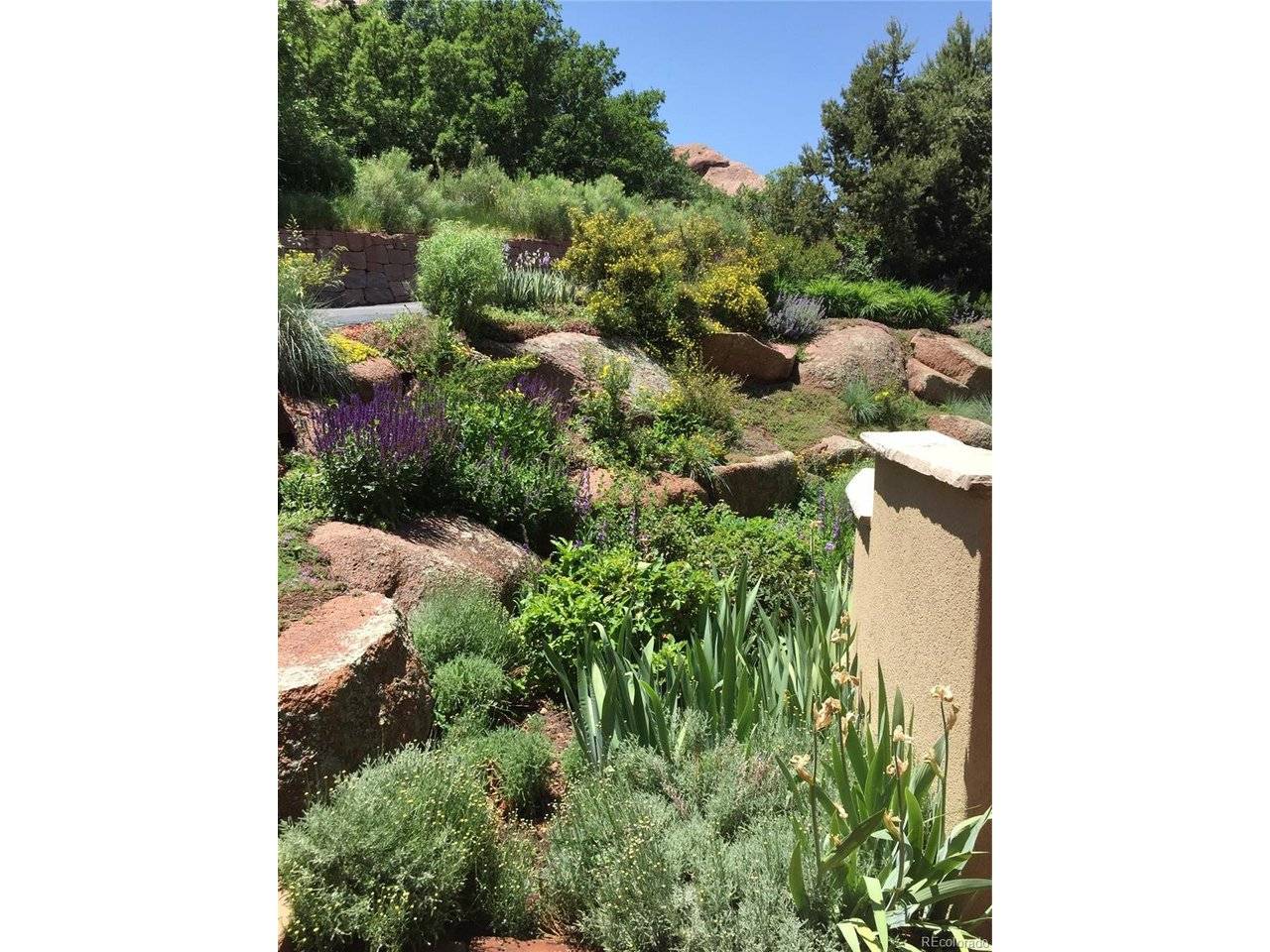 9193 S Buffalo, Littleton, CO 80127