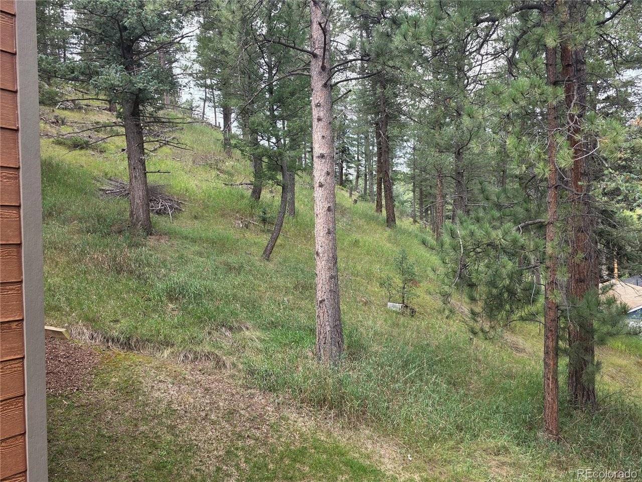 4897 Silver Spruce, Evergreen, CO 80439