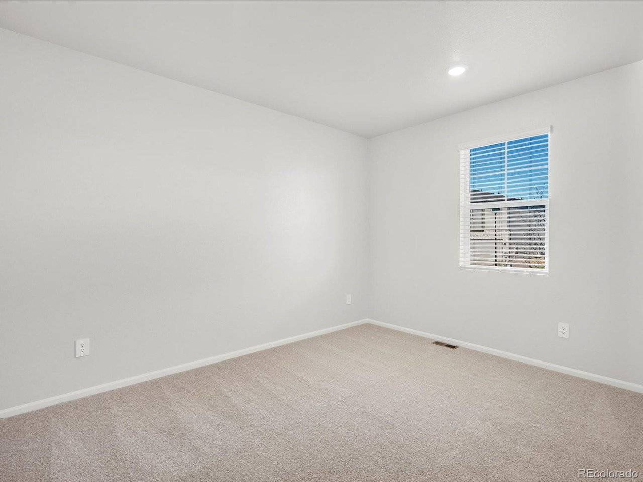 1206 Spring Creek, Windsor, CO 80550