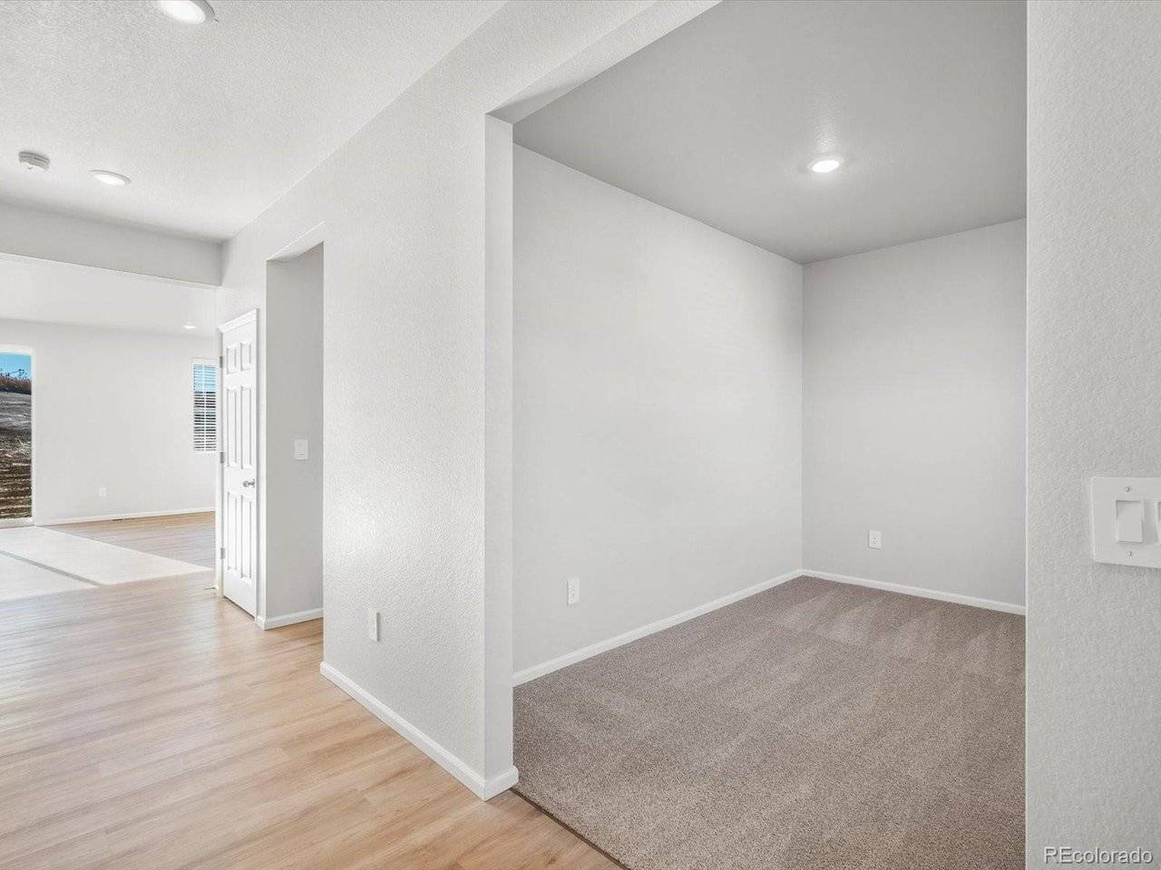 1206 Spring Creek, Windsor, CO 80550