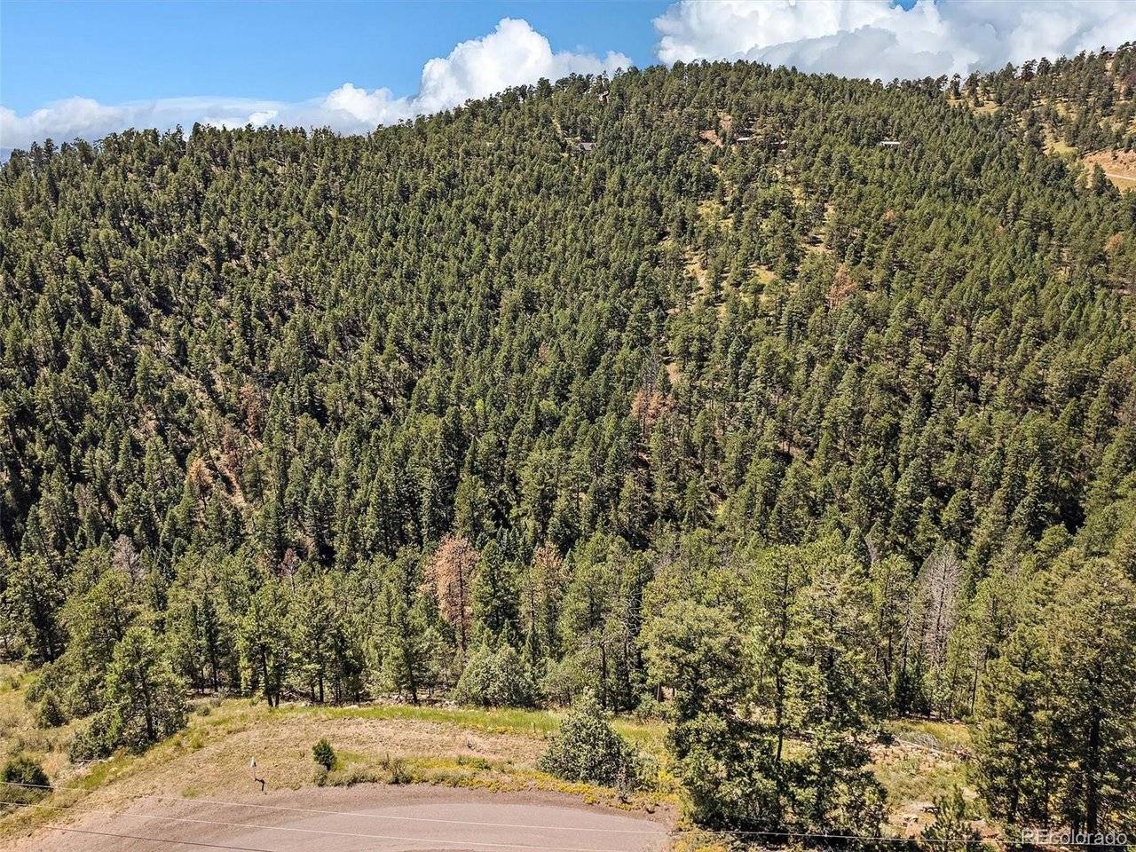 13809 Elsie, Conifer, CO 80433
