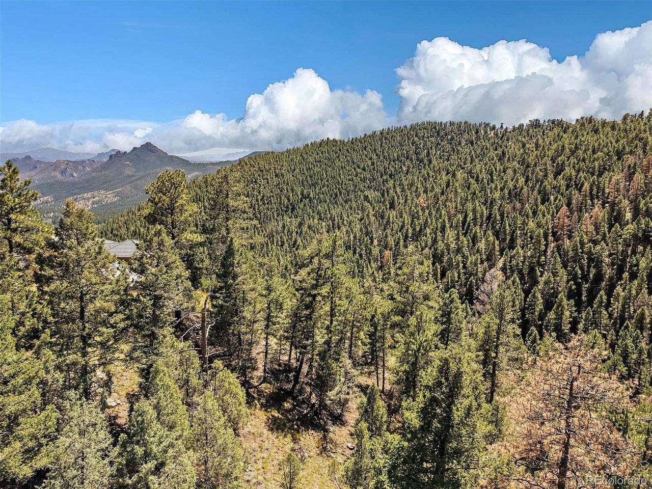 13809 Elsie, Conifer, CO 80433