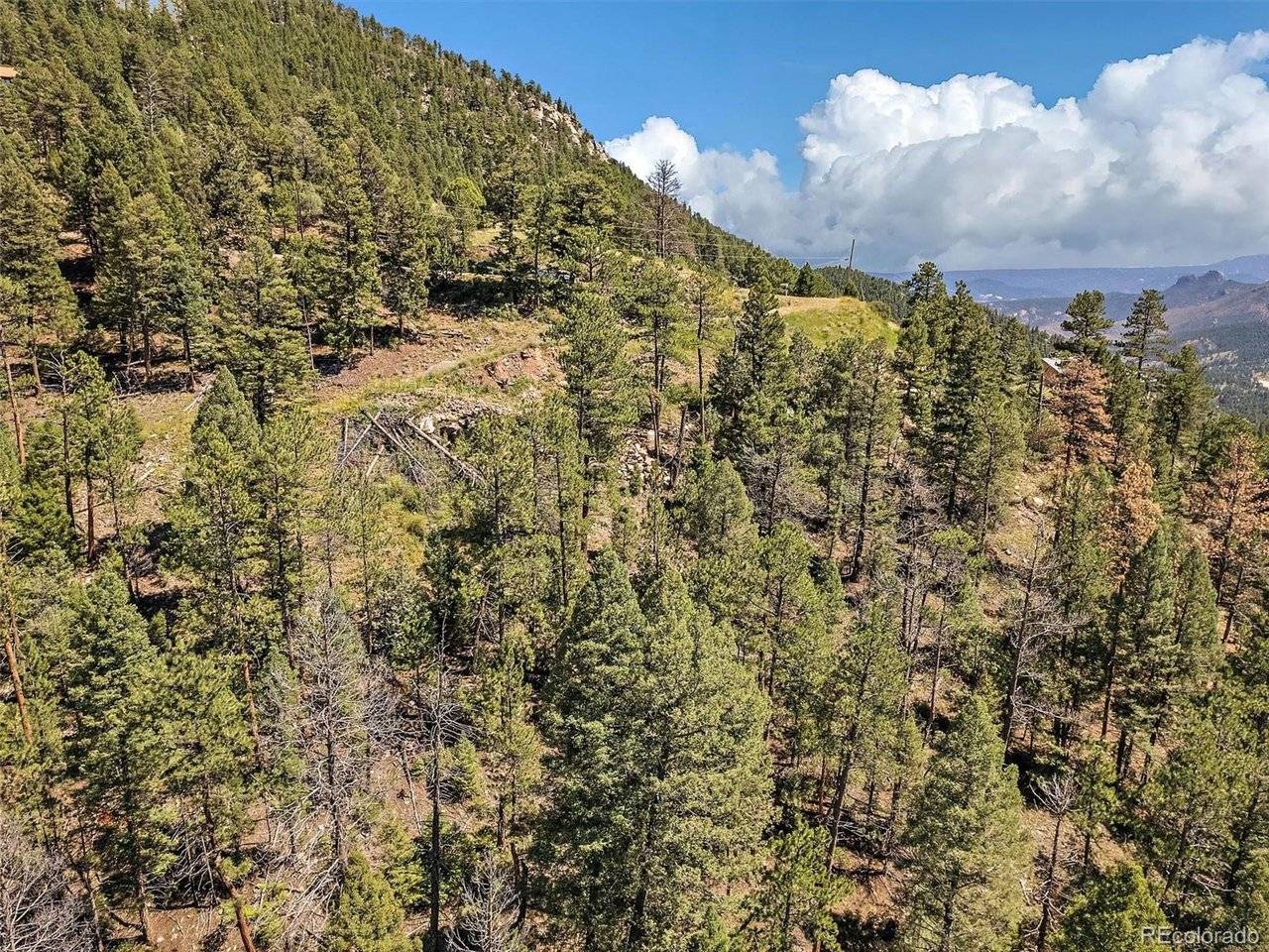 13809 Elsie, Conifer, CO 80433