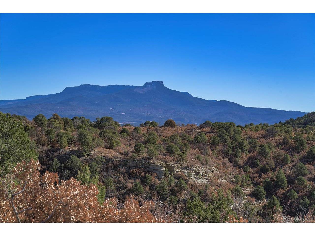 14633 Rancho Verde, Trinidad, CO 81082