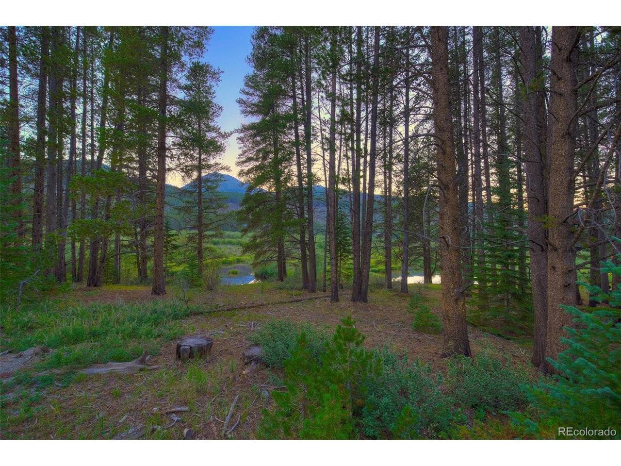 623 Blue River, Blue River, CO 80424