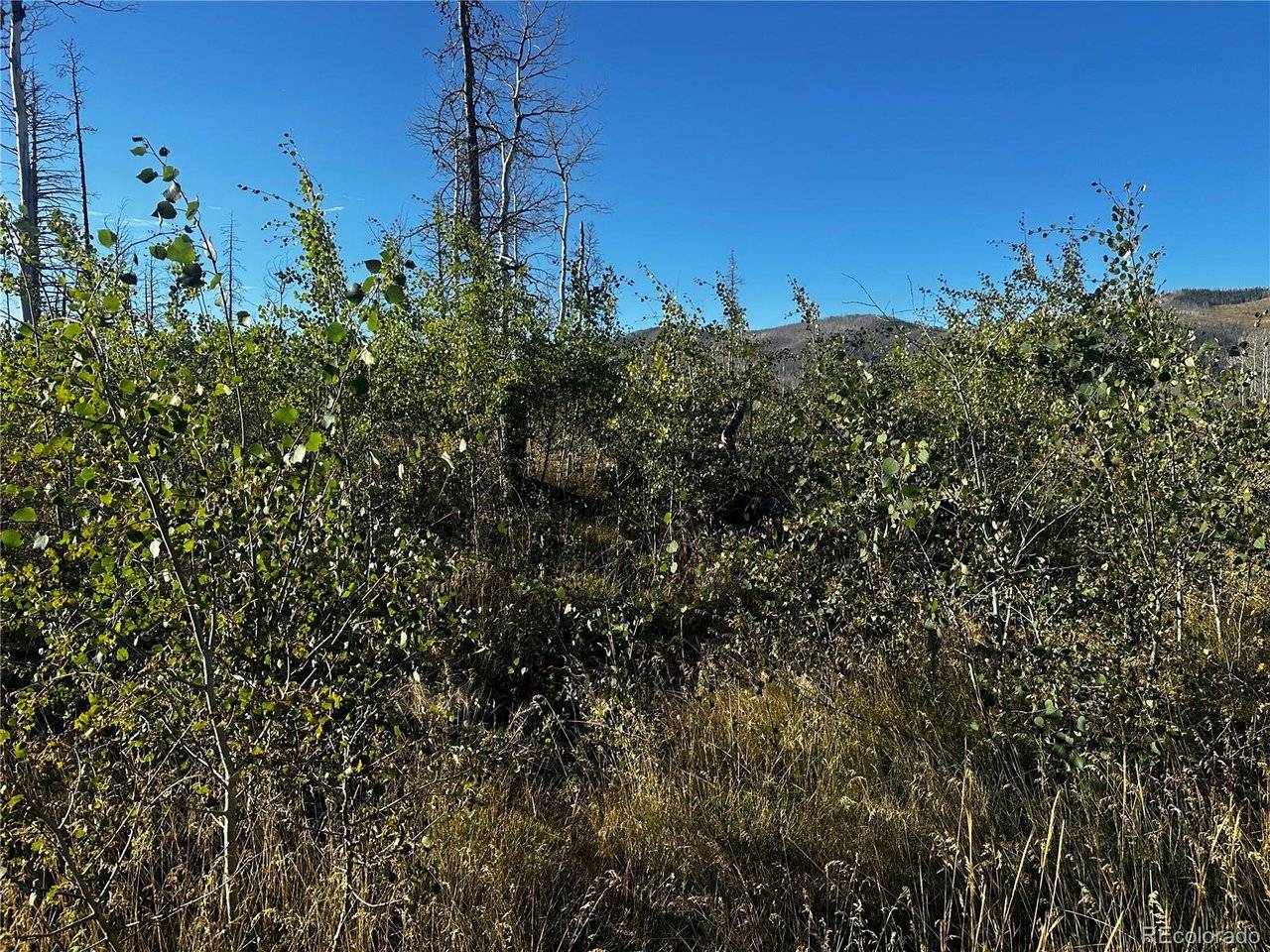 1312 Claytor, Fort Garland, CO 81133