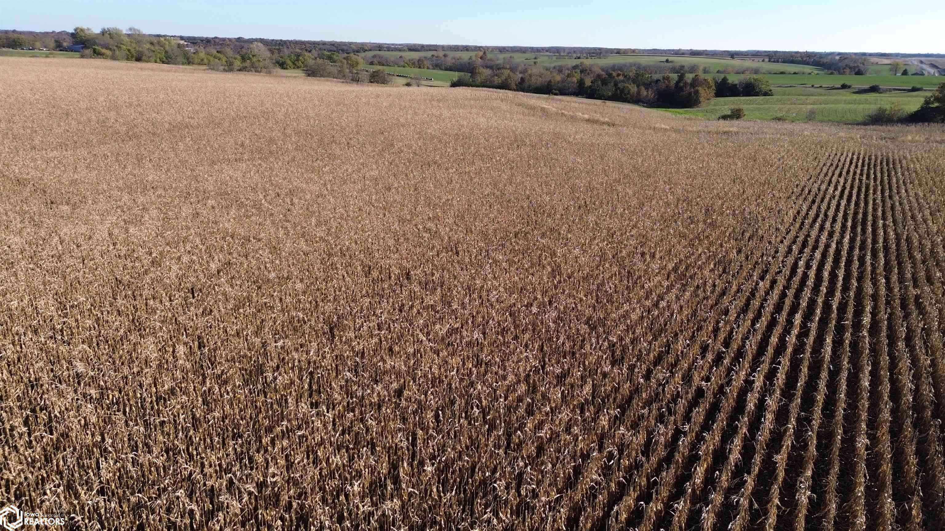 52 A Scarlet AVE, Bloomfield, IA 52537