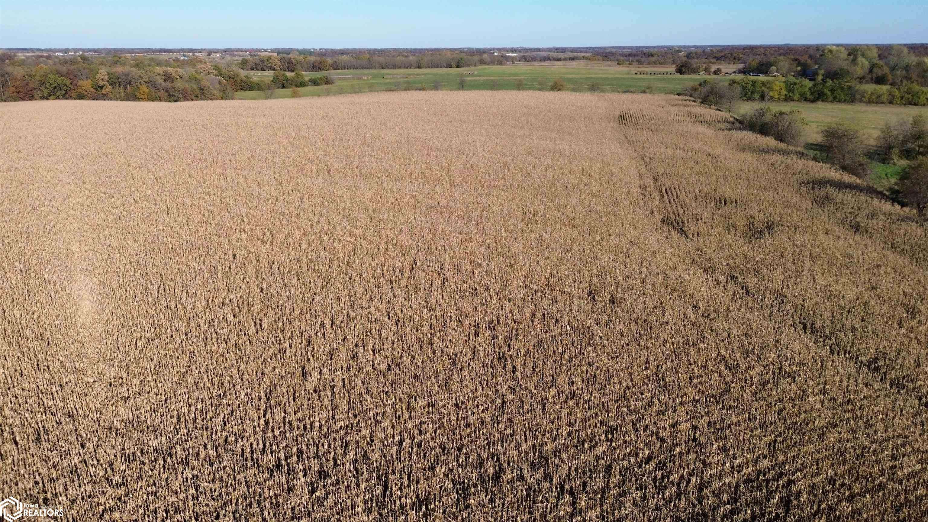 52 A Scarlet AVE, Bloomfield, IA 52537