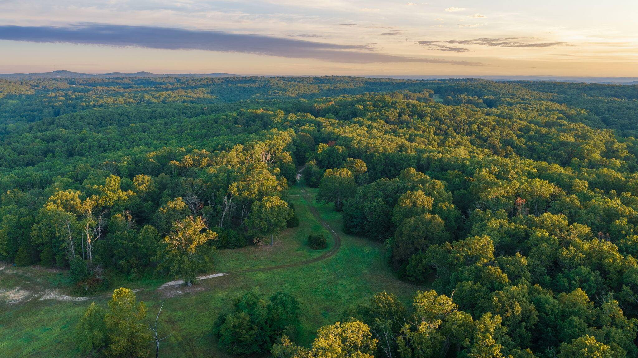 1350 County Road 317, Squires, MO 65755
