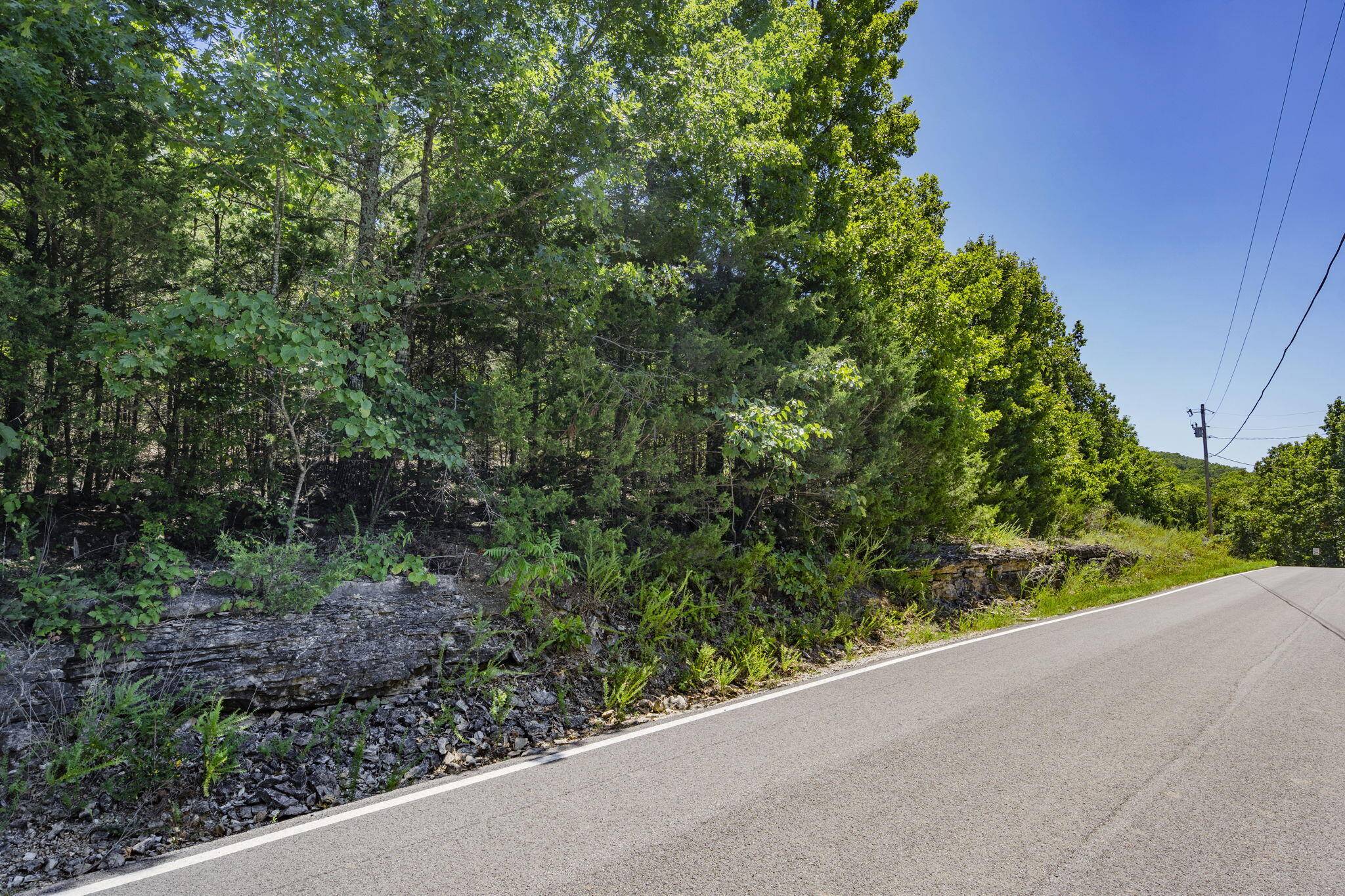 Lot 13 Blue Heron Shores, Lampe, MO 65681
